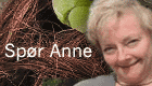 Spør Anne
