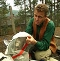 Bård Løtveit