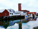 Seafood i Brønnøysund