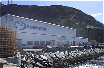 Domstein ASA er største aksjonær i Fjord Seafood