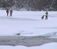 Letemannskaper har funnet sport som går fra veien til elva Hemsil. (Foto: Gunnar Grimstveit)