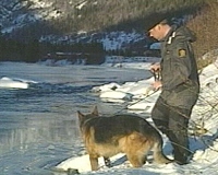 Det har tidligere vært brukt hunder i letingen etter Jonas Fredbo.