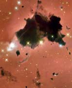 Stjerner blir født og stjerner blir "drept" av intenst strålende "morderstjerner" (Foto: NASA/STScI) 
