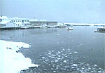 Breivikbotn er ett av tre fiskevær på Sørøya som er rammet av konkursen i HR Sea Products.