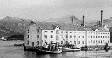 Hermetikkfabrikk i Flor i 1947.