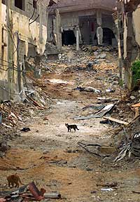 Det er enorme ødeleggelser i Jenin. (AP-Scanpix-foto)