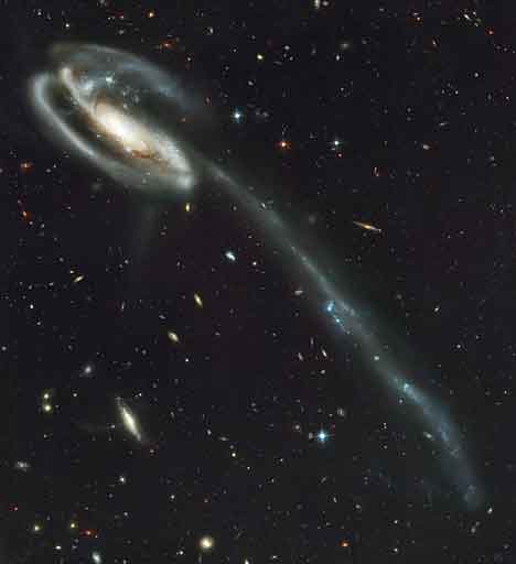 Rumpetrollgalaksen er et resultat av vekselvirkning med en annen galakse. Tyngdekreftene har dratt en lang hale med varme, lyssterke stjerner ut fra selve galaksen. Vi ser detaljer som er 420 millioner lysår unna!