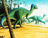 (Ill: Paleontologisk Museum, Oslo) (Ill: Paleontologisk Museum, Oslo)