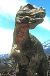 (Fra "Walking with dinosaurs", Copy: BBC) (Fra "Walking with dinosaurs", Copy: BBC)