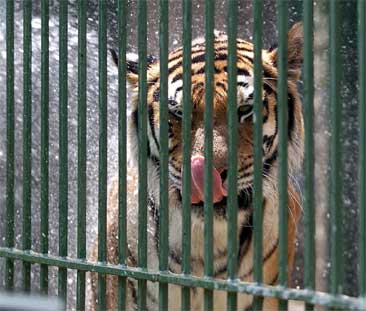 Foto: Reuters Foto: Reuters