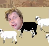 Are som spillets sorte fr.