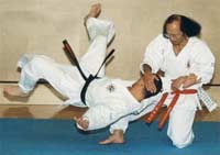 Nanbudo Nanbudo