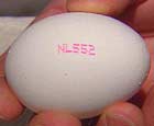 Eggene merket NL552 er importert fra Nederland.