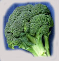 Broccoli passer inn i dietten.