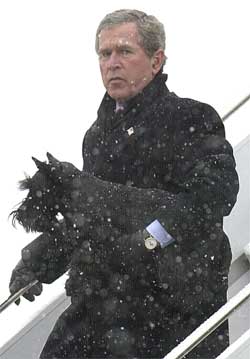 USA-president George W. Bush, her med hunden Barney, har utarbeidet en plan for styringen av Irak. (Arkivfoto: Reuters/Scanpix) 
