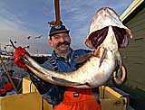 Fisker Arne Helge Kristoffersen tok denne lofottorsken i 2001. Nå kan torskeeksporten være i fare. Foto: Scanpix.