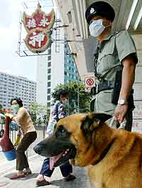 Politimann med munnbind og politihund uten i Hongkong. Foto: Kin Cheung, Reuters