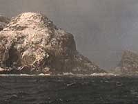 Gjesvær stappan i Finnmark; et av Europas største fuglefjell
