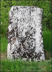 Runesteinen er fr folkevandringstida. (Foto: Arild Nyb, NRK)