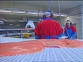 Aetat lover hjelp de ansatte ved Marine Harvest Aetat lover hjelp de ansatte ved Marine Harvest