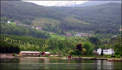 Sagbruket og Kaupanger Hovedgrd. (Foto: Arild Nyb, NRK  2003)