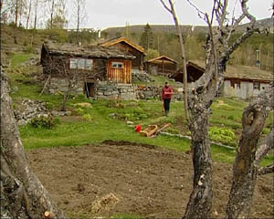 Våronn på Haukdalen. Våronn på Haukdalen.