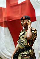 En nigeriansk fredstyrke skal overvåke våpenhvilen (Scanpix/AFP)