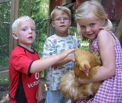 F.v. Sivert Dahler, Tarje Rusten Wang og Emilia Brox, alle fem år, er godt fornøyd med at barnehagen har fått høner. (Foto: Freddy Fagerheim)