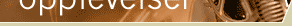 nyopplevelser_toppbanner_3_1