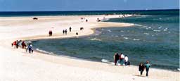 Skagen på en flott dag. Prøv Oves Skagensalat på en flott piknik. Skagen på en flott dag. Prøv Oves Skagensalat på en flott piknik.