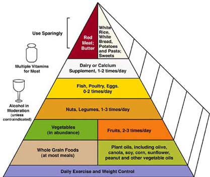 Den nye matpyramiden er tilpasset moderne kosthold og vårt moderne liv. Fra: Harvard school of public health.