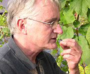 Dag Johansen smaker på Syversens avling. Foto: NRK Dag Johansen smaker på Syversens avling. Foto: NRK