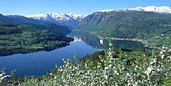Vakker fjord - her i Hardanger.