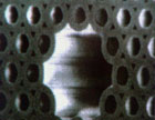 Strukturen i gullmusas hår ligner på optiske fibre.
