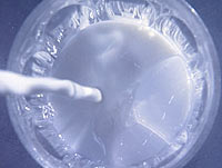 Laktose likner på amfetamin. Det finnes blant annet i melk. 