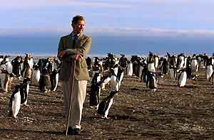 Faklandsøyene er også en del av denne historien. Her Sea Lion på kysten av Falklandsøynene som prins Charles besøkte i 1999. Foto: Dylan Martinez, AP 