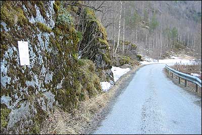 Gamlevegen i Jostedalen med flaummerket p berget til venstre etter storflaumen i 1979. (Foto: Ottar Starheim, NRK  2003)