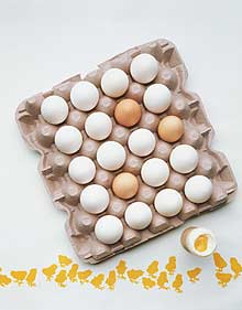 Framstegspartiet fryktar alvorleg eggmangel i påska.