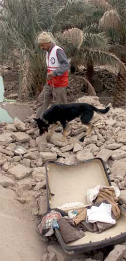 Ein redningsarbeider gjennomsøkjer ruinane med hjelp av ein hund. (Foto: Reuters/Scanpix)