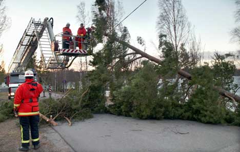 Store trær måtte ryddes bort etter å ha blåst over veien runt Forshaga i Värmland i Sverige lørdag. Foto: Helena Karlsson / NWT / SCANPIX SVERIGE 