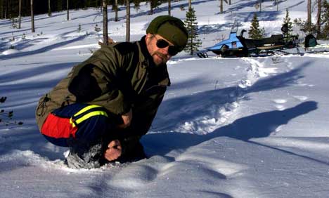 Ideelle snøforhold for sporing av ulv i helgen. Foto: Bjørn Sigurdsøn SCANPIX.