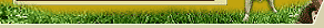 Hundehj�rnet 3_1_banner