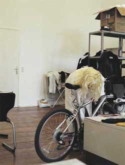 Pricess goes to bed with mountainbike Pricess goes to bed with mountainbike