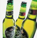 Carlsberg-øl (Arkivbilde)