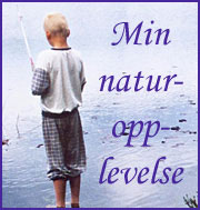 naturopplevelse banner 180
