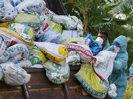 Det er gjennoført masseslakt av kyllingar i fleire land i Asia. Dette biletet er frå Thailand. (AFP/Scanpix-foto)