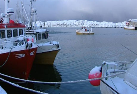 Det meste av fiskekvotene tilhører godt voksne fiskere. Inngangsbilletten til yrket er for høy, mene Landsdelsutvalget. (Foto: NRK) 