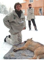 - Hvert år, de siste fem årene, er det født 10 ulvekull langs grensen, og vi kjenner til hvem de stammer fra og hvor de holder til, sier Petter Wabakken. 