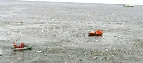 Kystvakta plukker opp død fisk som flyter på vannoverflaten. Fisken er nettopp dumpet fra en båt i nærheten. Foto: NRK Brennpunkt Kystvakta plukker opp død fisk som flyter på vannoverflaten. Fisken er nettopp dumpet fra en båt i nærheten. Foto: NRK Brennpunkt