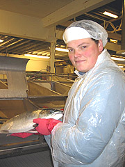 I 10 år jobbet Tommy Reppe i fiskeindustrien; slaktet, sløyet, fileterte. Foto: Ann Jones, NRK I 10 år jobbet Tommy Reppe i fiskeindustrien; slaktet, sløyet, fileterte. Foto: Ann Jones, NRK